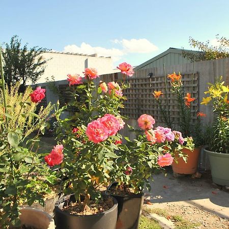 Cooma Cottage Экстерьер фото